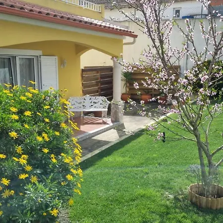 Casa Palmas 3*