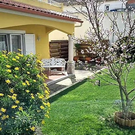 Casa Palmas Отель типа 